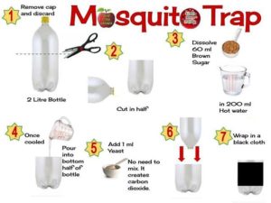 bohol-mosquito-trap