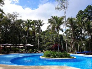 Hurry! Best Offers At The Calape Forest Resort, Calape, Bohol! 004