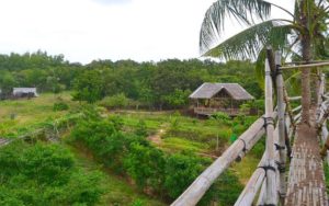 Lowest Affordable Rates At The Hostel Bohol Coco Farm, Panglao, Philippines! Book Now! 002